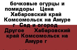 бочковые огурцы и помидоры › Цена ­ 100 - Хабаровский край, Комсомольск-на-Амуре г. Сад и огород » Другое   . Хабаровский край,Комсомольск-на-Амуре г.
